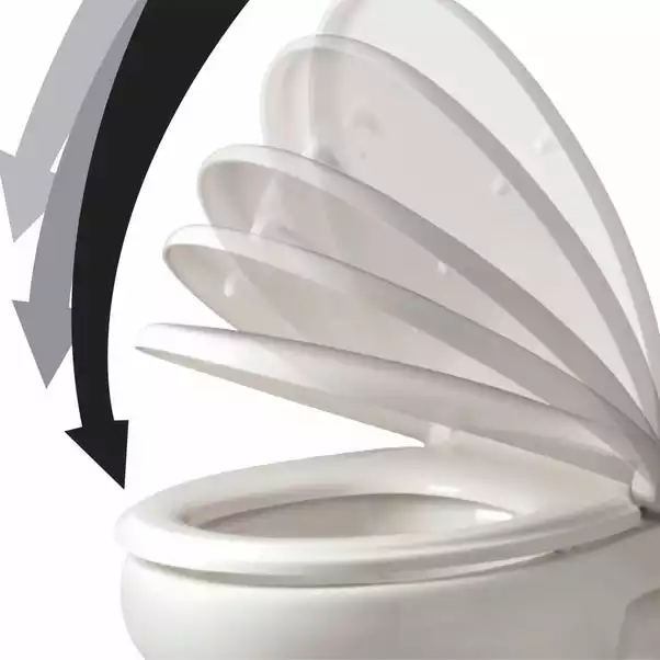 Dunelm Thermoplast White D Shape Toilet Seat 3 Dunelm Thermoplast White D Shape Toilet Seat - Image 3