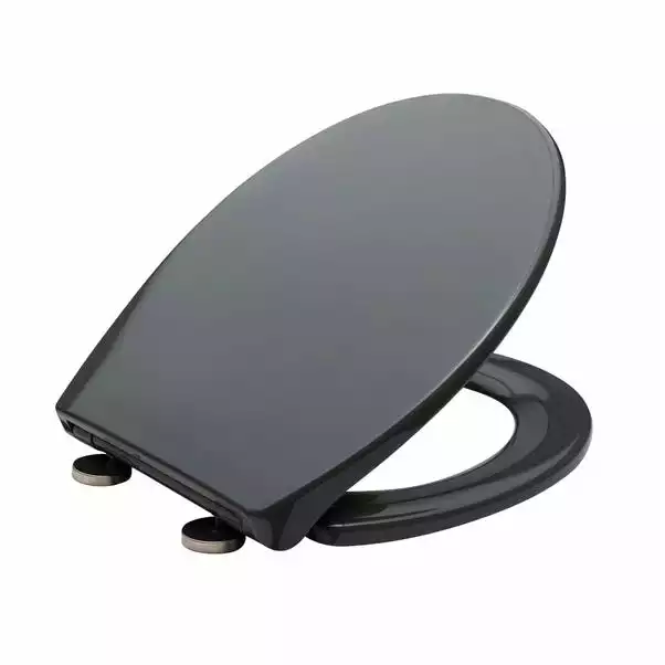 Dunelm Thermoplast Grey Toilet Seat 2 Dunelm Thermoplast Grey Toilet Seat - Image 2