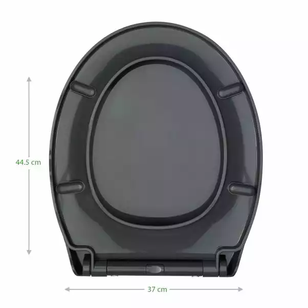 Dunelm Thermoplast Grey Toilet Seat 3 Dunelm Thermoplast Grey Toilet Seat - Image 3