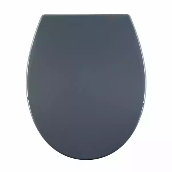 Dunelm Thermoplast Grey Toilet Seat 1 Dunelm Thermoplast Grey Toilet Seat