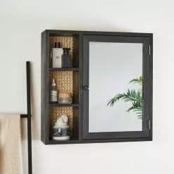 Dunelm French Cane Black Mirror Cabinet