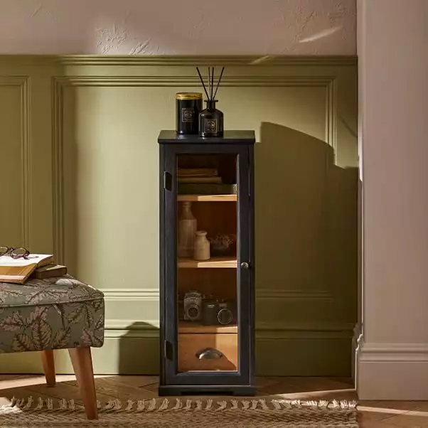 Natural History Museum Small Slim Display Cabinet 1 Natural History Museum Small Slim Display Cabinet