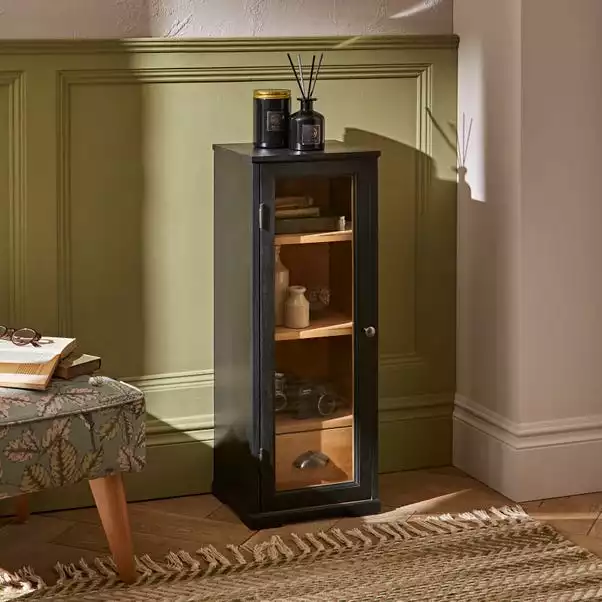 Natural History Museum Small Slim Display Cabinet 2 Natural History Museum Small Slim Display Cabinet - Image 2