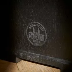 Natural History Museum Small Slim Display Cabinet 9 Natural History Museum Small Slim Display Cabinet -Dunelm Sales Store 30754174 alt04