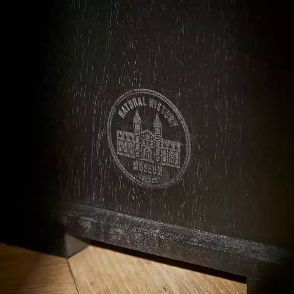 Natural History Museum Small Slim Display Cabinet 5 Natural History Museum Small Slim Display Cabinet - Image 5