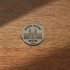 Natural History Museum Small Glazed Display Cabinet -Dunelm Sales Store 30756116 alt03