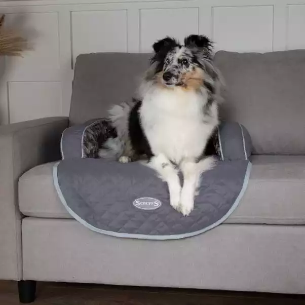 Scruffs Wilton Sofa Dog Bed 1 Scruffs Wilton Sofa Dog Bed